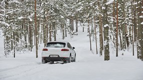 Porsche Driving Experience - зимний тест-драйв внедорожников